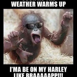 Meet your Posher, Darren